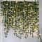 Green Leaf Ivy Vine LED String Lights Silk Leaves Fake Creeper Hanging Garland Artificial Plants De 3