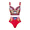 Vintage Pattern Printed One Piece Swimsuit Swimwear Bikini Set For Women 4