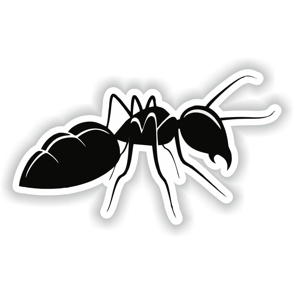 Ant Sticker for Laptop Book Fridge Guitar Motorcycle Helmet ToolBox Door PC Boat 02.jpg