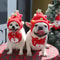 Pets Santa Bibs Funny Dog Christmas Hat Cute Cats Bandana Puppy Cap New Year Party Cosplay Costume 1