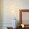 Battery Operated White Birch Branch Lights, Willow Fairy Lights for Bedroom, Home, and Outdoor Decoration