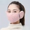 Full Cover Face Mask Outdoor Windproof Mask, Winter Mask Warm Mask, Breathable Thickened Dustproof Reusable Mask