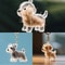 DIY Dog Fur Keepsake Pendant Clear Pet Hair Memorial Capsule For Keychain Puppy Hair Storage Contai 0