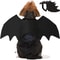 Wholesale Cute Cat Cosplay Costume Black Bat Wings Safety Belt Role Playing Pet Cat Dog Halloween Party Decoration Supplies