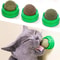 Cat Grass Snack, Removes Balls to Promote Digestion, Healthy Natural Toy for Cats
