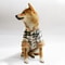 Essential Fur Collar Cotton Pet Outfits Frenchie Gear, Stylish Winter Pet Jacket Clothes Grid, Durable Warm Small Dogs