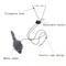 Best Hanging jumping toy cat relief for boredom, Elastic cat stick elastic clip door swing, Hanging door mouse teasing