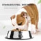 Dog Food Bowl, Stainless Steel Pet Bowl, Multi-Specification Feeding Bowl
