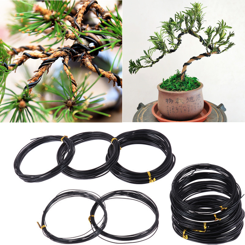 Anodized Aluminum Bonsai Training Wire Total Black Wire for Plant Shapes