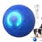 Automatic Rolling Ball Toys For Puppy, Active Vibrating Rolling Ball, USB Rechargeable Interactive Dog Toy For Dogs