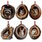 Cute Christmas Acrylic Pendant Animal Wildlife Ornaments Raccoon Owl Squirrel Hedgehog Bunny Bird D 0