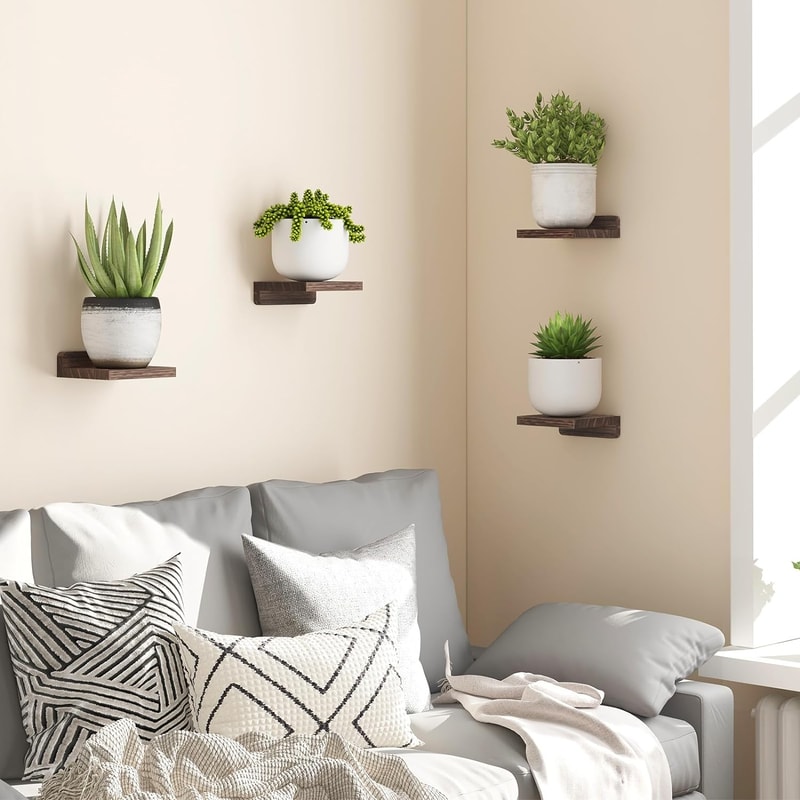 Wood Floating Shelves for Wall, Mini Display Ledges, Room Decor with Multiple Installation Types