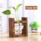Heart Shape Wooden Frame Glass Vase Vintage Bonsai Hydroponic Plant Vase For Wedding 1