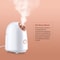 Nano Ionic Facial Steamer Mist Face Humidifier Moisturizing SPA Atomizer For Home Pore Unclogging F 1
