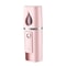 Rechargeable Facial Steamer, Portable Facial Nano Mist Sprayer, Handy Face Moisturizing Skin Care Machine