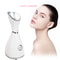 Electric Nano Ionic Mist Face Steamer Professional Home Beauty Facial Sprayer Spa Mist For Women De 0