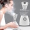 Electric Nano Ionic Mist Face Steamer Professional Home Beauty Facial Sprayer Spa Mist For Women De 4
