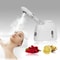 Beauty Pore Cleaner Fog Steamer Skin Care Moisturizing Aroma Herbal Steaming SPA Machine 0