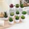 Simulation Succulents Plastic Bonsai Plants Artificial Evergreen Cactus Decor 0