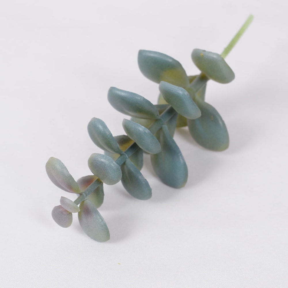 Cactus Small Ornaments Succulent Plants Green Plant Decorations Indoor Office Bonsai Garden Potted 6