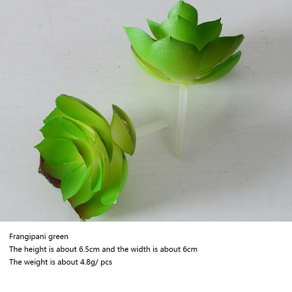 Small Bonsai Succulent Plants Green Faux Flower Desktop Fake Plants for Home Decor