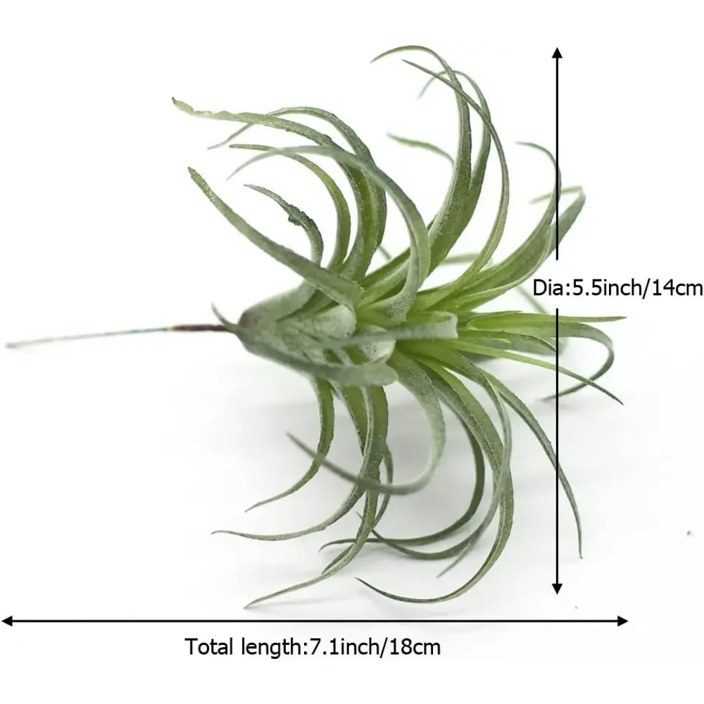 Faux Tillandsia Air Plants, Artificial Flocking Succulents, Bromeliads for Indoor Plants