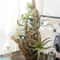 Faux Tillandsia Air Plants, Artificial Flocking Succulents, Bromeliads for Indoor Plants