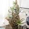 Faux Tillandsia Air Plants, Artificial Flocking Succulents, Bromeliads for Indoor Plants