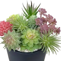 small succulent plants for home, artificial succulents for indoor decor
