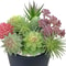 Small Succulent Plants for Home, Artificial Succulents for Indoor Decor