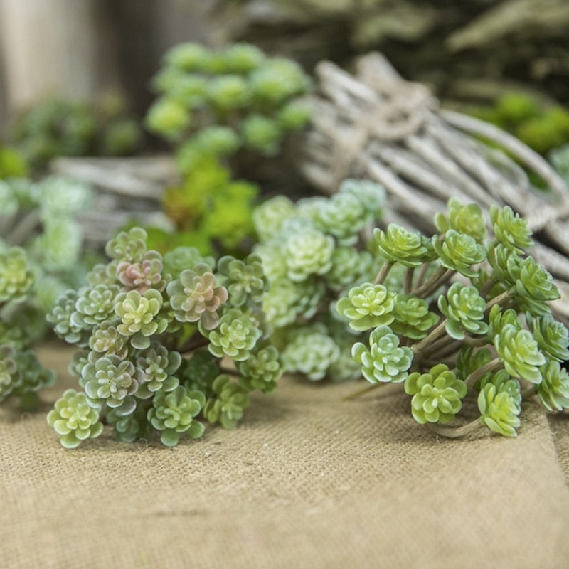 Real Touch Mini Artificial Cactus, Plastic Succulent for Micro Landscape Decor