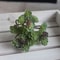Real Touch Mini Artificial Cactus, Plastic Succulent for Micro Landscape Decor
