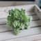 Real Touch Mini Artificial Cactus, Plastic Succulent for Micro Landscape Decor