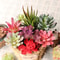 Plants Mini Artificial Succulent Plants For Home Garden Green Plastic Plants Ornament Decoration 0