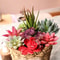 Plants Mini Artificial Succulent Plants For Home Garden Green Plastic Plants Ornament Decoration 1