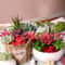Plants Mini Artificial Succulent Plants For Home Garden Green Plastic Plants Ornament Decoration 2
