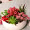 Plants Mini Artificial Succulent Plants For Home Garden Green Plastic Plants Ornament Decoration 3