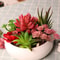 Plants Mini Artificial Succulent Plants For Home Garden Green Plastic Plants Ornament Decoration 3