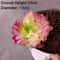 Plants Mini Artificial Succulent Plants For Home Garden Green Plastic Plants Ornament Decoration 6
