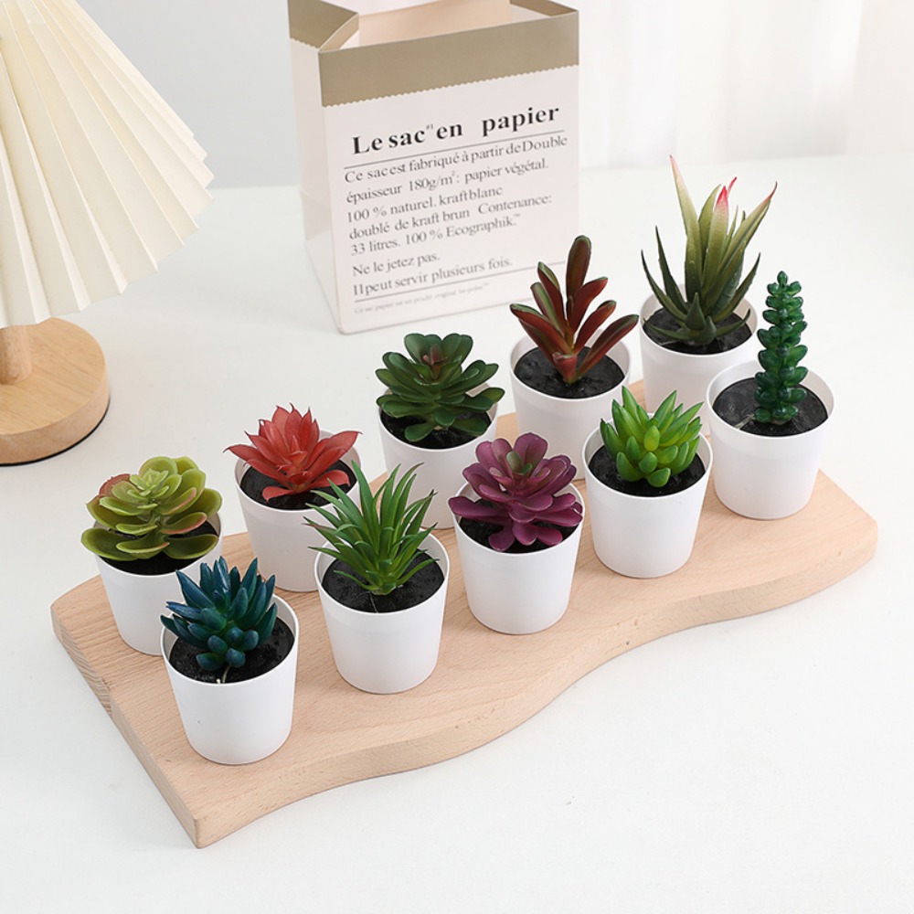 Simulation Succulents Bonsai Cactus, Mini Evergreen Artificial Succulent Plants for Decor