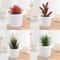 Simulation Succulents Bonsai Cactus, Mini Evergreen Artificial Succulent Plants for Decor