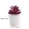 Simulation Succulents Bonsai Cactus, Mini Evergreen Artificial Succulent Plants for Decor