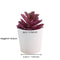 Simulation Succulents Bonsai Cactus, Mini Evergreen Artificial Succulent Plants for Decor