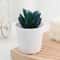 Simulation Succulents Bonsai Cactus, Mini Evergreen Artificial Succulent Plants for Decor