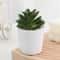 Simulation Succulents Bonsai Cactus, Mini Evergreen Artificial Succulent Plants for Decor