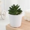 Simulation Succulents Bonsai Cactus, Mini Evergreen Artificial Succulent Plants for Decor
