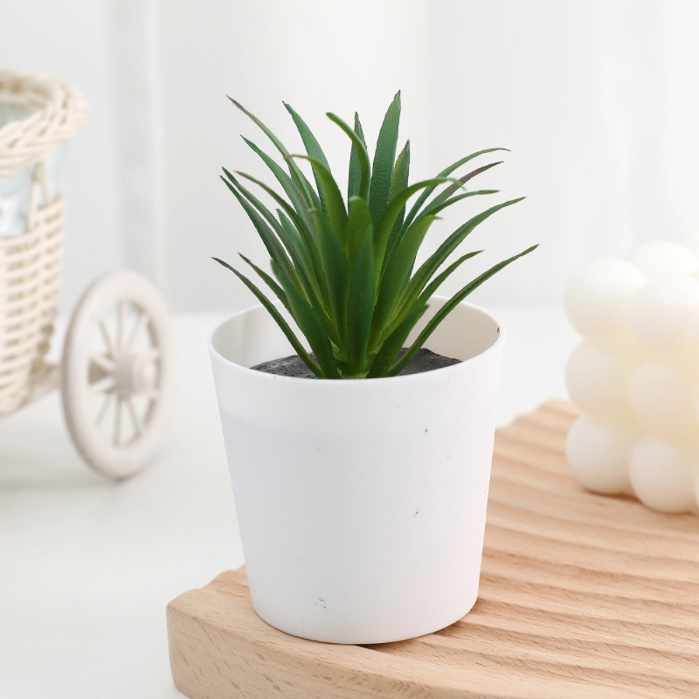 Simulation Succulents Bonsai Cactus, Mini Evergreen Artificial Succulent Plants for Decor