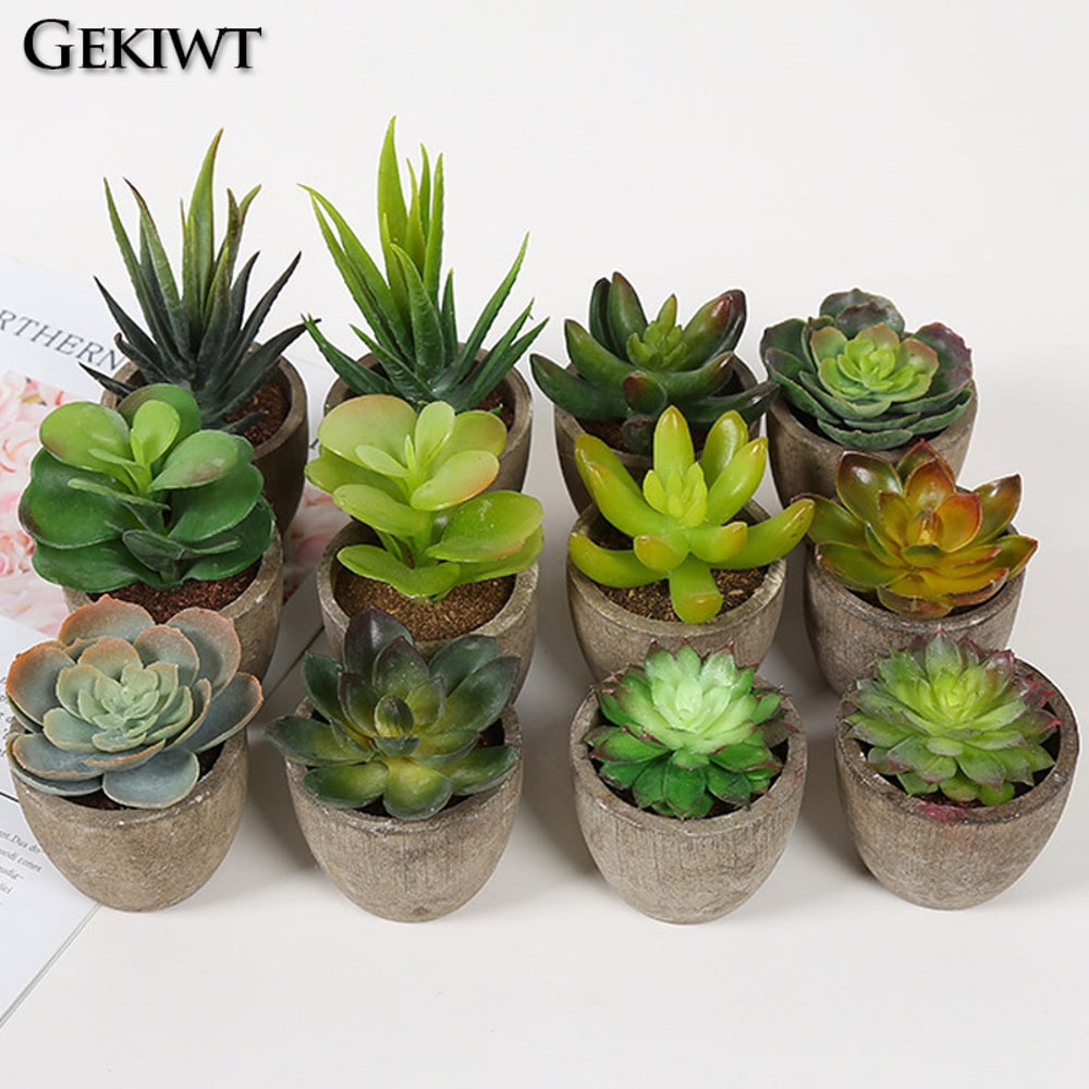 Artificial Succulent Plants, Mini Evergreen Fake Tree Pot, Small Decorative Plants for Office Table and Home Garden Deco