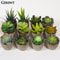 Artificial Succulent Plants, Mini Evergreen Fake Tree Pot, Small Decorative Plants for Office Table and Home Garden Deco