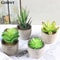 Artificial Succulent Plants, Mini Evergreen Fake Tree Pot, Small Decorative Plants for Office Table and Home Garden Deco